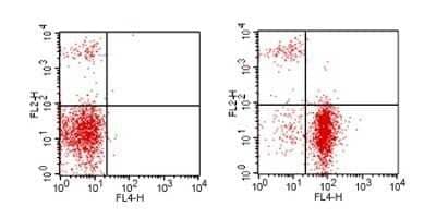 Flow Cytometry: CD19 Antibody (1D3) - Azide and BSA Free [NBP2-80633] - Analysis using the Allophycocyanin conjugate of NBP2-24965. Staining of CD19 in BALB/c mouse splenocytes. Cells were stained with anti-CD4 PE this antibody and either 1 ug of isotype control antibody (left) or 1 ug of anti-CD19 APC (right).