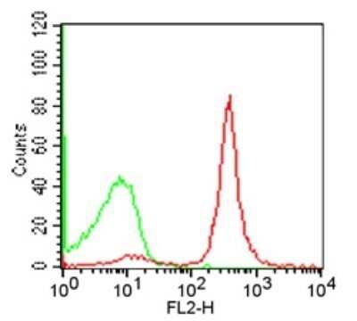 Flow Cytometry: CD19 Antibody (1D3) - Azide and BSA Free [NBP2-80633] - Cell surface analysis of CD19 in BALB/c mouse splenocytes using 1 ug of this antibody. Green: isotype control; red: anti-CD19 PE. Image using the PE form of this antibody. Image from the standard format of this antibody.