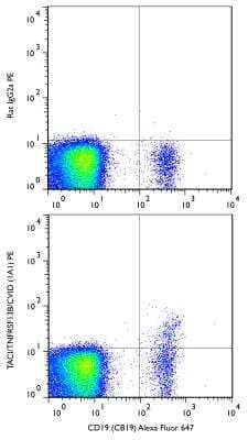 Flow Cytometry: CD19 Antibody (CB19) [Alexa Fluor 647] [NBP2-25196AF647] - A surface stain was performed on human peripheral blood lymphocytes with TACI/TNFRSF13B/CVID (1A1) antibody NB600-1189PE and a matched isotype control. Cells were incubated in an antibody dilution of 2 ug/mL for 20 minutes at room temperature. A co-stain was performed with NBP2-25196AF647.