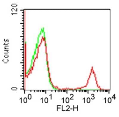 Flow Cytometry: CD19 Antibody (CB19) [PE] [NBP2-26646] - Cell surface analysis of CD19 in 1x10^6 human PBMC using 10 ul (0.25 ug) of was used to test this product. Propidium iodide negative lymphocyte population gated for analysis.