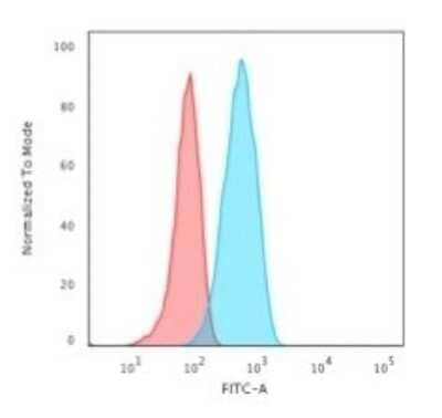 Flow Cytometry: CD19 Antibody (CVID3/155) - Azide and BSA Free [NBP2-61908] - Flow Cytometric Analysis of Raji cells. CD19 Antibody (CVID3/155) followed by goat anti-Mouse IgG-CF488 (Blue); Isotype Control (Red).