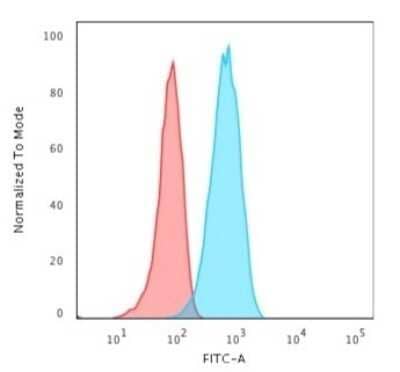 Flow Cytometry: CD19 Antibody (CVID3/429) - Azide and BSA Free [NBP2-61909] - Flow Cytometric Analysis of Raji cells. CD19 Antibody (CVID3/429) followed by goat anti-Mouse IgG-CF488 (Blue); Isotype Control (Red).