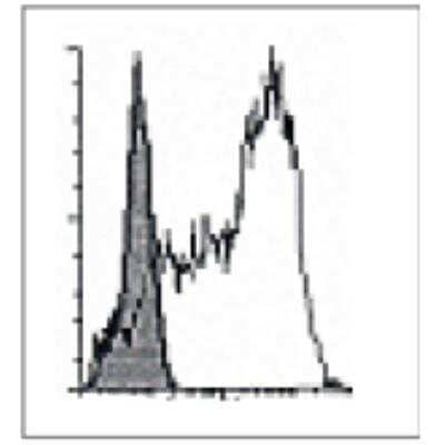 ELISA: CD1a Antibody (201B5.08) [DDX0081P-100] - Surface Facs staining ofCD34+-derivedDCs with201B5.08 mAb