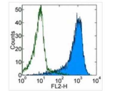 Flow Cytometry: CD1b Antibody (SN13/K5-1B8) [NBP1-52580] - Staining of Molt-4 cells with 0.5 ug of Purified Mouse IgG1, K isotype control (open histogram) or 0.5 ug of Purified anti-human CD1b (SN13) (colored histogram) followed by Biotin Anti-Mouse IgG and SAv-PE. Total viable cells were used for analysis.