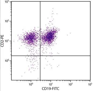 Flow Cytometry: CD2 Antibody (12-15) [FITC] [NBP1-26667] - C57BL/6 mouse splenocytes stained with NBP1-26669 (PE conjugate) and  NBP1-26667 (FITC conjugate)