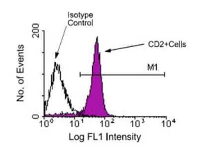 Flow Cytometry: CD2 Antibody (12-15) [FITC] [NBP1-26667] - 1 ug/1^6 BALB/c lymph node cells were stained with rat anti-mouse CD2-FITC. Lymphocytes were then gated and analyzed by flow cytometry.
