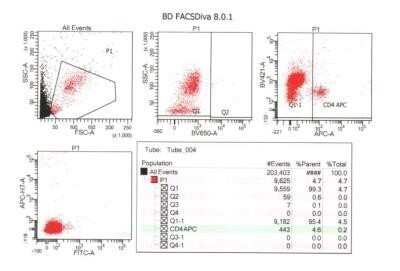 Flow Cytometry: CD2 Antibody (HuLy-m1) - Azide and BSA Free [NBP2-47979] - The cat whole blood cells are washed and incubated with CD2 antibody. This antibody was used to detect Tcell s in cat species. This image was submitted via customer review. Image from the PE version of this antibody.