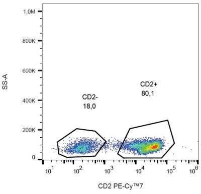 Flow Cytometry: CD2 Antibody (TS1/8) - Azide Free [NBP2-37715] - Staining of CD2 in human peripheral blood with anti-CD2 (TS1/8) PE-CyTM7.