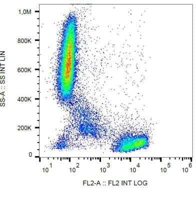 Flow Cytometry: CD2 Antibody (TS1/8) - Azide Free [NBP2-37715] - Staining of CD2 in human peripheral blood with anti-CD2 (TS1/8) PE.