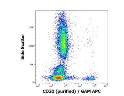 Flow Cytometry: CD20 Antibody (LT20) [NBP3-09146] - Surface staining pattern of human peripheral blood stained using anti-human CD20 (LT20) purified antibody (concentration in sample 10 ug/ml) GAM APC. 