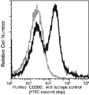 Flow Cytometry: CD200/OX2 Antibody (002) [NBP2-90396] - Analysis of CD200 expression on spleen lymphocytes. BALB/c splenocytes were stained with Mouse CD200 Monoclonal Ab (50074-R002), then a FITC-conjugated second step antibody. The histogram were derived from the gated events based on light scattering characteristics of lymphocytes.