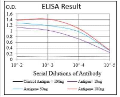 ELISA: CD200/OX2 Antibody (6E8B11) [NBP2-52438] - Black line: Control Antigen (100 ng); Purple line: Antigen(10ng); Blue line: Antigen (50 ng); Red line: Antigen (100 ng)