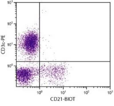 Flow Cytometry: CD21 Antibody (BB6-11C9.6) [FITC] [NBP1-28246] - Analysis of peripheral blood lymphocytes by multiple staining.