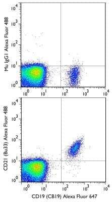 Flow Cytometry: CD21 Antibody (Bu33) [NB100-63574AF488] -  Surface stain was performed on human peripheral blood lymphocytes with CD21 (Bu33) antibody NB100-63574AF488 and a matched isotype control. Cells were incubated in an antibody dilution of 5 ug/mL for 20 minutes at room temperature. A co-stain was performed with NBP2-25196AF647.