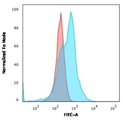 Flow Cytometry: CD21 Antibody (CR2/3124R) - Azide and BSA Free [NBP3-08297] - Flow Cytometric Analysis of PFA-fixed MOLT4 cells. CD21 Recombinant Rabbit Monoclonal Antibody (CR2/3124R) followed by Goat anti-rabbit IgG-CF488 (Blue); Isotype Control (Red).