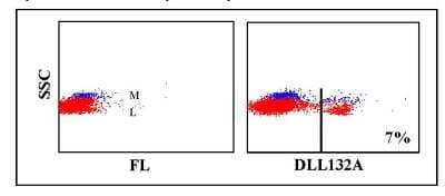 Flow Cytometry: CD21 Antibody (DLL132A) [NBP2-60860] - Obtained with canine leukocytes