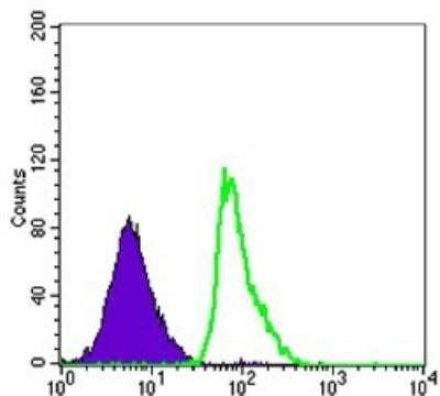 Flow Cytometry: CD23/Fc epsilon RII Antibody (5B5) [NBP1-51682] - Flow cytometric analysis of Raji cells using FCER2 mouse mAb (green) and negative control (purple).