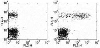 Flow Cytometry: CD23/Fc epsilon RII Antibody (EBVCS2) [PE] [NBP1-43882] - See Notes