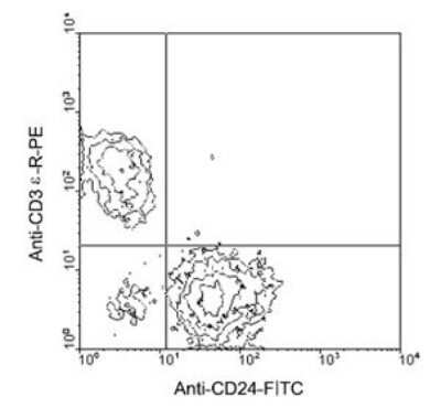 Flow Cytometry: CD24 Antibody (91) [FITC] [NBP1-27913] - 3 ug/1^6 cells from BALB/c spleen cells were double stained with rat anti-mouse CD24-FITC and hamster anti-mouse CD3-R-PE (clone 145-2C11), gated on small lymphocytes and analyzed using a flow cytometer