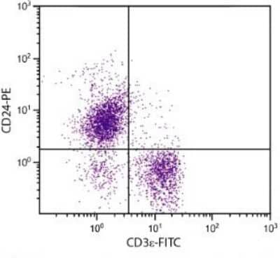 Flow Cytometry: CD24 Antibody (91) [PE] [NBP1-27915] - Analysis of BALB/c splenocytes by multiple stainnig.