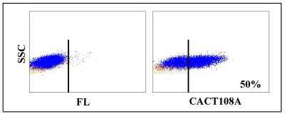 Flow Cytometry: CD25/IL-2 R alpha Antibody (CACT108A) [NBP2-60861] - Obtained with bovine lymphocytes stimulated with ConA