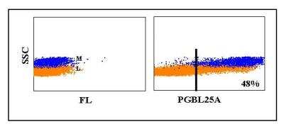 Flow Cytometry: CD25/IL-2 R alpha Antibody (PGBL25A) [NBP2-60873] - Obtained with pig leukocytes