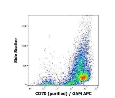 Flow Cytometry: CD27 Ligand/TNFSF7/CD70 Antibody (Ki-24) [NBP3-09122] -  Surface staining pattern of HUT-78 cells stained using anti-human CD70 (Ki-24) purified antibody (concentration in sample 1 ug/ml) GAM APC. 