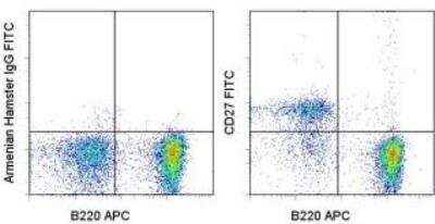 Flow Cytometry: CD27/TNFRSF7 Antibody (LG.7F9) [FITC] [NBP1-44021] - Staining of C57BL/6 splenocytes with Anti-Human/Mouse CD45R (B220) APC and 0.25 micrograms of Armenian Hamster IgG Isotype Control FITC (left) or 0.25 micrograms of Anti-CD27 FITC (right). Total viable cells were used for analysis.