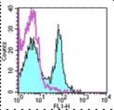 Flow Cytometry: CD27/TNFRSF7 Antibody (LG.7F9) [NBP1-43428] - Staining of mouse splenocytes with 0.25 ug Hamster IgG Isotype Control Purified (open histogram) or 0.25 ug Anti-CD27 Purified (filled histogram) followed by Anti-Armenian Hamster IgG FITC . Total viable cells were used for analysis.