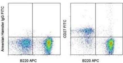 Flow Cytometry: CD27/TNFRSF7 Antibody (LG.7F9) [NBP1-43428] - Analysis using the FITC conjugate of NBP1-43428. Staining of C57BL/6 splenocytes with Anti-Human/Mouse CD45R (B220) APC and 0.25 micrograms of Armenian Hamster IgG Isotype Control FITC (left) or 0.25 micrograms of Anti-CD27 FITC (right).