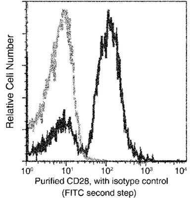 Flow Cytometry: CD28 Antibody (007) [NBP2-89910] - Analysis of Human CD28 expression on human whole blood lymphocytes. Cells were stained with purified anti-Human CD28, then a FITC-conjugated second step antibody. The fluorescence histograms were derived from gated events with the forward and side light-scatter characteristics of viable lymphocytes.