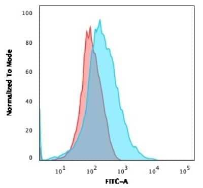 Flow Cytometry: CD28 Antibody (C28/75) [NBP2-32816] - Flow Cytometric Analysis of Jurkat cells using CD28 Antibody (C28/75) followed by Goat anti-Mouse IgG-CF488 (Blue); Isotype Control (Red).