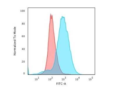 Flow Cytometry: CD28 Antibody (CB28) - Azide and BSA Free [NBP2-34592] - Flow Cytometric Analysis of paraformaldehyde-fixed Jurkat cells using CD28 Antibody (CB28) followed by goat anti-Mouse IgG-CF488 (Blue); Isotype control (Red).