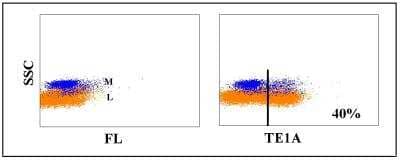 Flow Cytometry: CD28 Antibody (TE1A) [NBP2-60875] - Obtained with bovine leukocytes