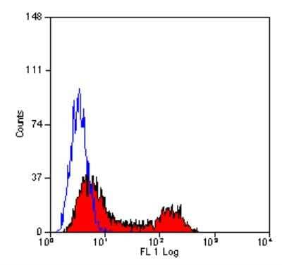 Flow Cytometry: CD28 Antibody (YTH913.12) [NB100-64867] - Staining of human peripheral blood lymphocytes with Rat anti Human.