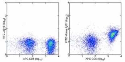 Flow Cytometry: CD28 [p Ser123, p Ser124] Antibody (JJ319) [FITC] [NBP2-00105] - Staining of rat splenocytes with Anti-Rat CD5 APC and 0.5 ug of Mouse IgG1 K Isotype Control FITC (left) or 0.5 ug of Anti-Rat CD28 FITC (right). Total viable cells were used for analysis.
