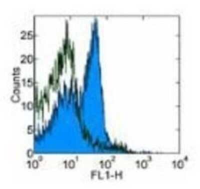 Flow Cytometry: CD28 [p Ser124, p Ser123] Antibody (JJ319) [NBP2-00000] - Staining of Lou Rat splenocytes with 0.5 ug Mouse IgG1 Isotype Control Purified (NBP1-43319) (open histogram) or 0.5 ug Anti-Rat CD28 Purified (filled histogram) followed by Anti-Mouse IgG FITC. Total viable cells were used for analysis.