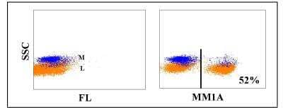 Flow Cytometry: CD3 Antibody (MM1A) [NBP2-60876] - Obtained with bovine leukocytes