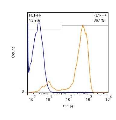 Flow (Cell Surface): CD3 Antibody (OKT3) [Alexa Fluor (R) 488] [NBP2-24867AF488] - Analysis of CD3 expression in hPBMc's gated to lymphocyte population at 1 x 10^6 cells/ml. Cells were stained with NBP2-24867AF488 (orange) conjugate at a 1:500 dilution. Results are shown with mIgG2 (AF488 conjugate) isotype control (blue)