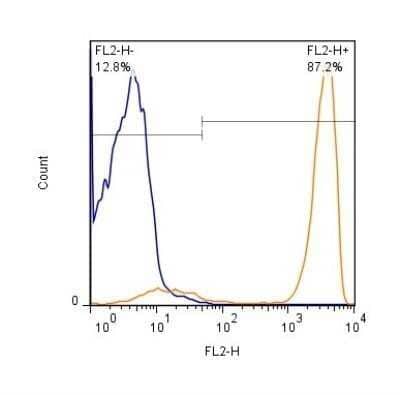 Flow (Cell Surface): CD3 Antibody (OKT3) - Low Endotoxin and Azide Free [NBP2-24867] - Analysis using the PE conjugate of NBP2-24867. Detection of CD3 expression in hPBMC's gated to lymphocyte population at 1 x 10^6 cells/ml. Cells were stained with NBP2-24867PE (orange) conjugate at a 1:500 dilution. 