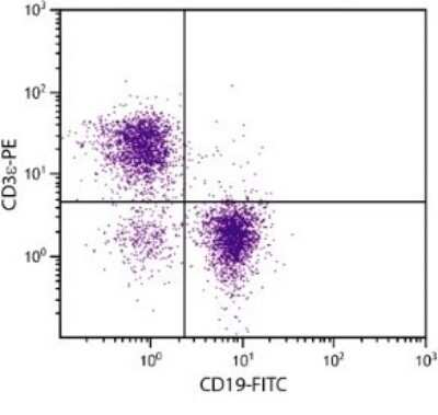 Flow Cytometry: CD3 epsilon Antibody (C363.29B (YCD3-1)) [PE] [NBP1-26688] - Analysis of BALB/c splenocytes by multiple stainnig.