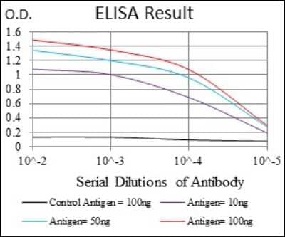 ELISA: CD30/TNFRSF8 Antibody (3B10) [NBP2-22206] - Red: Control Antigen (100ng); Purple: Antigen (10ng); Green: Antigen (50ng); Blue: Antigen (100ng)