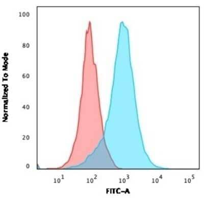 Flow Cytometry: CD31/PECAM-1 Antibody (158-2B3) - Azide and BSA Free [NBP2-47784] - Flow Cytometric Analysis of paraformaldehyde-fixed Jurkat cells using CD31/PECAM-1 Antibody (158-2B3) - Azide and BSA Free followed by goat anti- Mouse- IgG-CF488 (Blue); Isotype Control (Red).