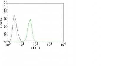 Flow Cytometry: CD31/PECAM-1 Antibody (C31.10) [NBP2-44340] - Human CD31 on Jurkat Cells. Black: Cells alone; Grey: Isotype Control; Green: AF488-labeled CD31/PECAM-1 Antibody (C31.10).