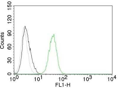 Flow Cytometry: CD31/PECAM-1 Antibody (C31.10) [NBP2-44340] - Flow Cytometry of human CD31 on Jurkat cells. Black: cells alone; Grey: Isotype Control; Green: AF488-labeled CD31/PECAM-1 Antibody (C31.10).