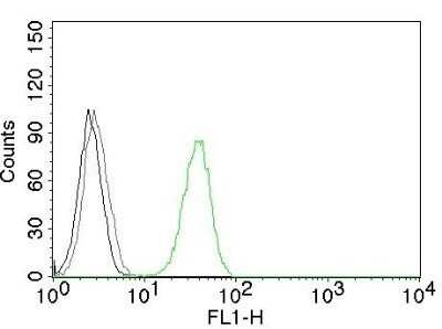 Flow Cytometry: CD31/PECAM-1 Antibody (C31.3) - Azide and BSA Free [NBP2-33154] - Flow Cytometric analysis of human CD31 on Jurkat cells. Black: cells alone; grey: Isotype Control; Green: AF488-labeled CD31/PECAM-1 Antibody (C31.3) - Azide and BSA Free.