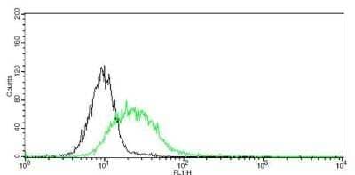 Flow Cytometry: CD31/PECAM-1 Antibody (GT0010) [NBP3-13523] - CD31/PECAM-1 antibody detects CD31/PECAM-1 protein by flow cytometry analysis. Sample: Raw264.7 cell fixed in 4% paraformaldehyde at 4C for 5 min. Black: Isotype control dilution: 1:100. Green: CD31/PECAM-1 antibody (NBP3-13523) dilution: 1:100.