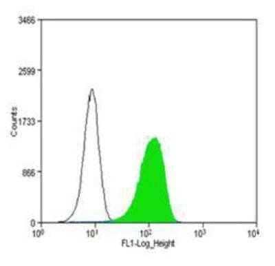 Flow Cytometry: CD31/PECAM-1 Antibody (MEC 7.46) - Azide and BSA Free [NBP2-80639] - CD31/PECAM-1 Antibody (MEC 7.46) was tested at 1:250 in WEHI-3 cells with DyLight 488 (green) alongside a matched isotype control (black). Image from the standard format of this antibody.