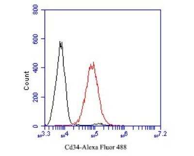 Flow Cytometry: CD34 Antibody (15H1) [NBP2-89157] - Analysis of CD34 was done on THP-1 cells. The cells were fixed, permeabilized and stained with the primary antibody( 1/50) (red). After incubation of the primary antibody at room temperature for an hour, the cells were stained with a Alexa Fluor 488-conjugated Goat anti-Mouse IgG Secondary antibody at 1/1000 dilution for 30 minutes.Unlabelled sample was used as a control (cells without incubation with primary antibody; black).