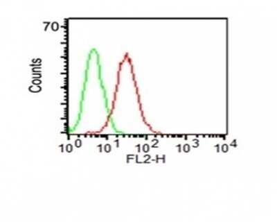 Flow Cytometry: CD34 Antibody (HPCA1/1171) - Azide and BSA Free [NBP2-47911] - KG-1 cells using CD34 Monoclonal Antibody (HPCA1/1171) (red) & isotype control (green).